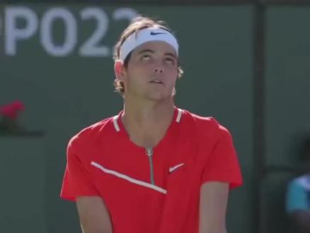 它揭示了 它揭示了