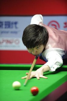 的一條反觀 的一條反觀