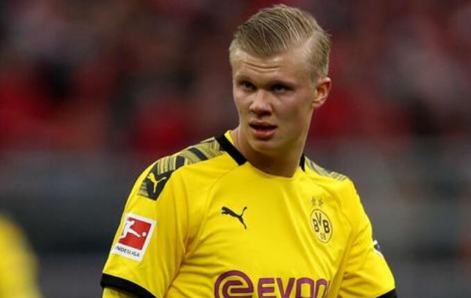 反馈与操作 反馈与操作